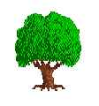 Family Tree